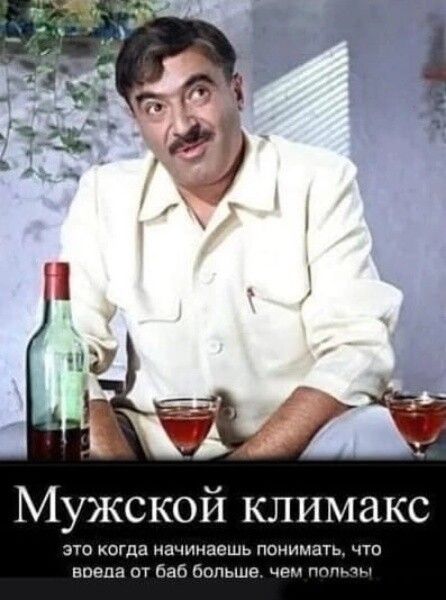 Мужской климакс это когда начинаешь понимать, что впела от баб больше, чем польза.