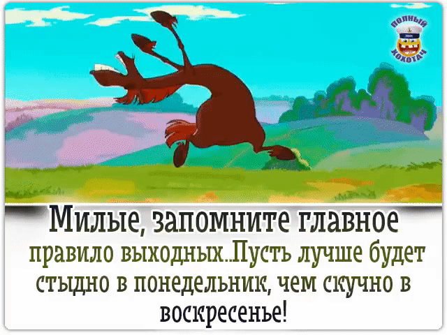 Милые, запомните главное правило выходных... Пусть лучше будет стыдно в понедельник, чем скучно в воскресенье!