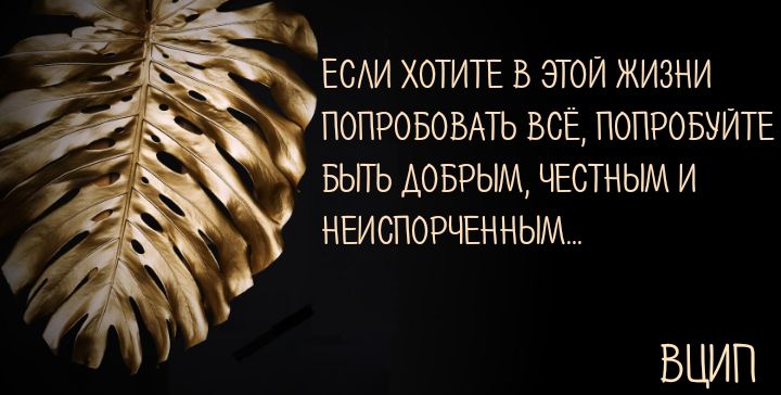 Если хотите в этой жизни попробовать всё, попробуйте быть добрым, честным и неиспорченным...