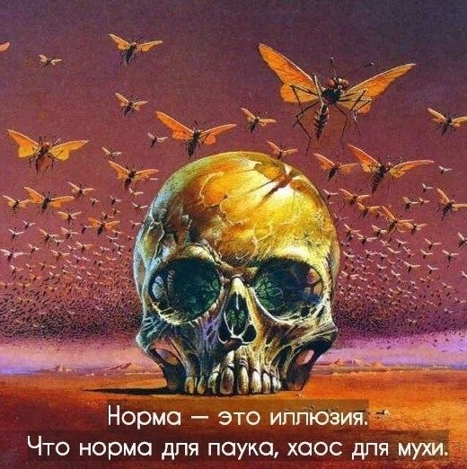 Норма – это иллюзия. Что норма для паука, хаос для мух.