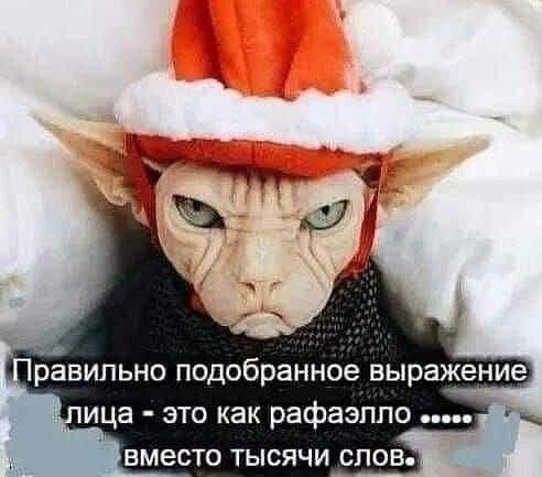 Правильно подобранное выражение лица - это как рафаэлло ...... вместо тысячи слов.