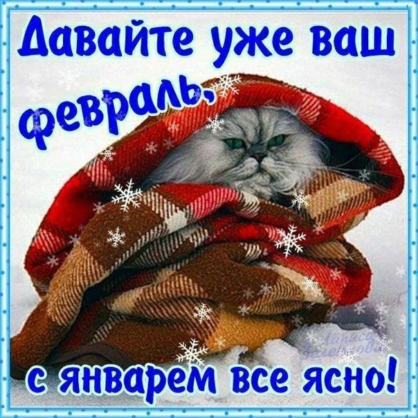Давайте уже ваш февраль. С январем все ясно!