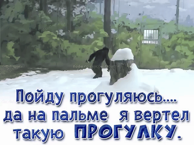 Пойду прогуляюсь... да на пальме я вертел такую ПРОГУЛКУ.