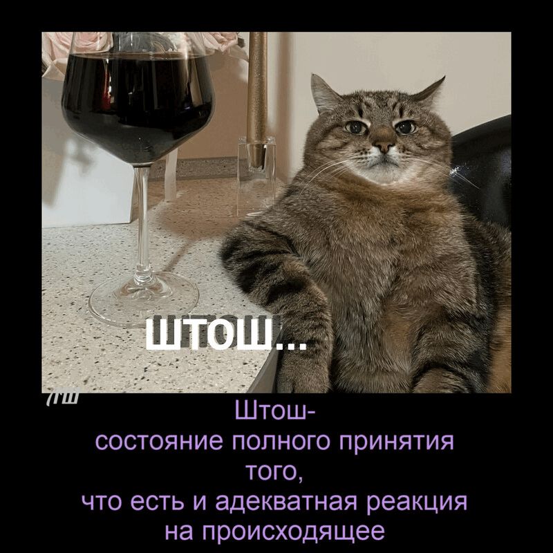 Штош... Штош- состояние полного принятия того, что есть и адекватная реакция на происходящее