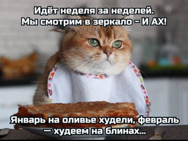 Идёт неделя за неделей. Мы смотрим в зеркало – И АХ! Январь на оливье худели, февраль — худеем на блинах...
