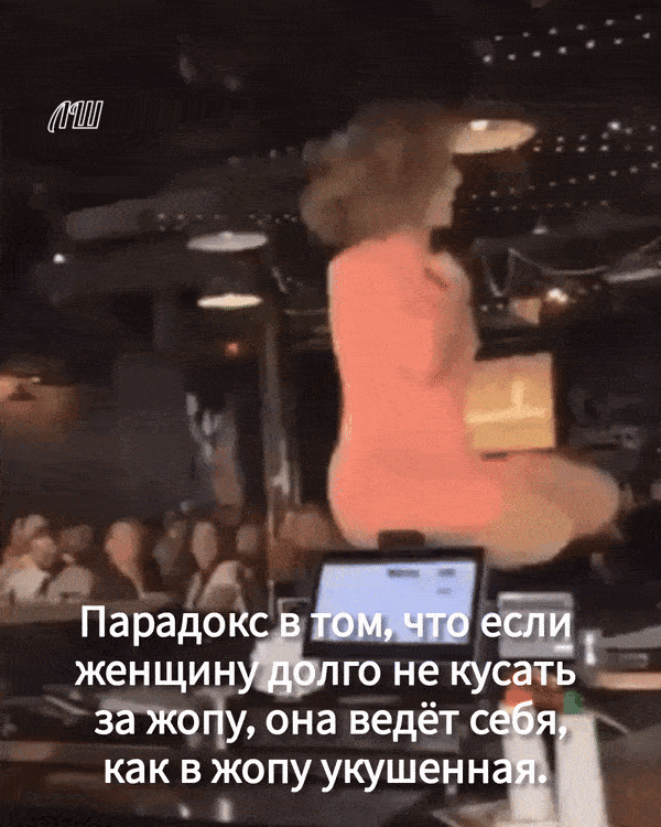 Парадокс в том, что если женщину долго не кусать за жопу, она ведёт себя, как в жопу укушенная.