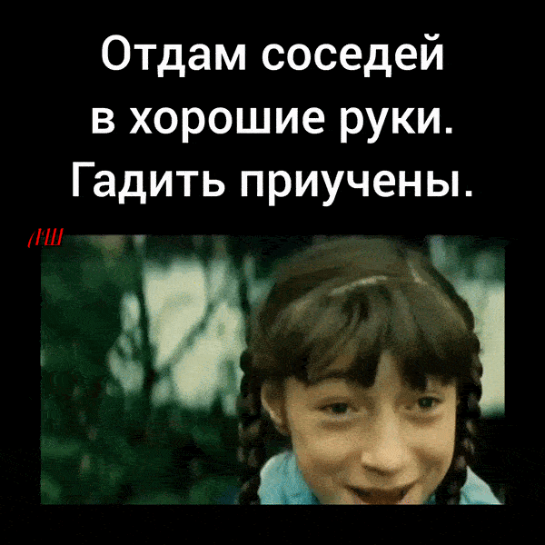 Отдам соседей в хорошие руки. Гадить привучены.