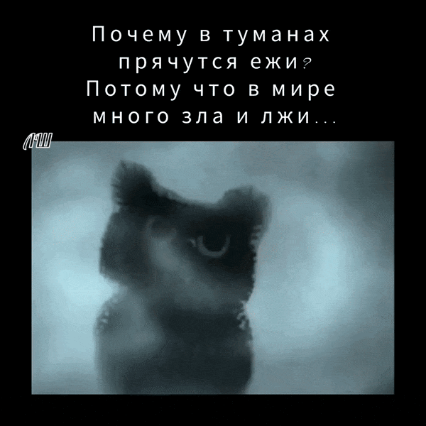 Почему в туманах прячутся ёжи? Потому что в мире много зла и лжи...