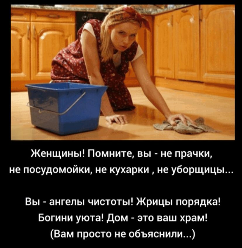 Женщины! Помните, вы - не прачки, не посудомойки, не кухарки, не уборщицы... Вы - ангелы чистоты! Жрицы порядка! Богини уюта! Дом - это ваш храм! (Вам просто не объяснили...)