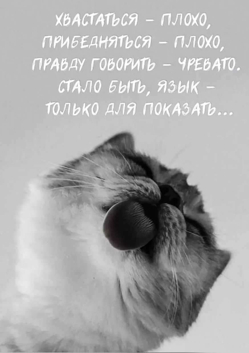 хвастаться - плохо, прибегаться - плохо, правду говорить - чревато. стало быть, язык - только для показать...