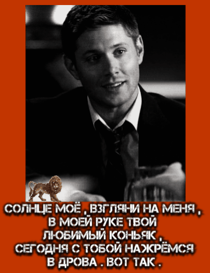 Солнце моё, взгляни на меня, в моей руке твой любимый конь-ик, сегодня с тобой нажрёмся в дрова. Вот так.