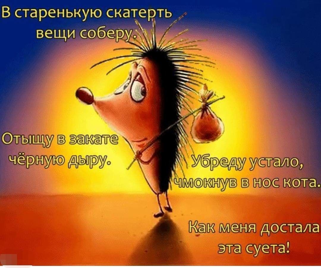 В старенькую скатерть вещи соберу. Отыщу в закате чёрную дыру. Убрeду устало, чмомнув в нос кота. Как меня достала эта суета!