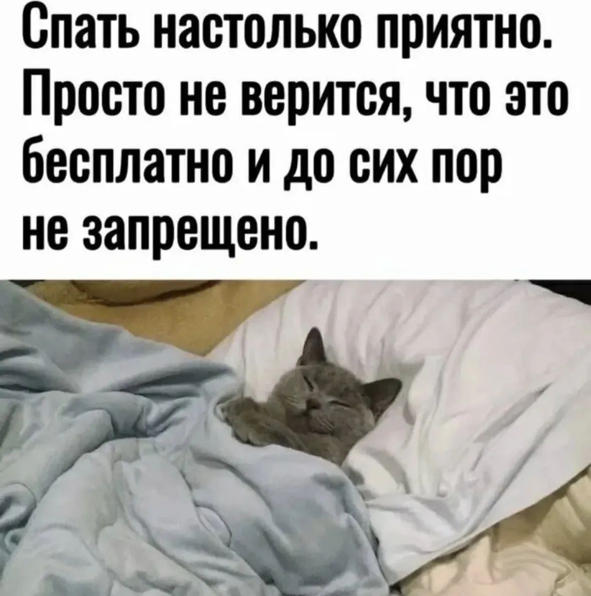 Спать настолько приятно. Просто не верится, что это бесплатно и до сих пор не запрещено.