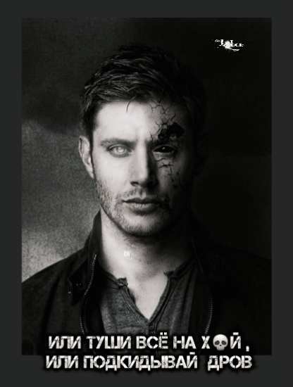 ИЛИ ТЫЛИ ВСЁ НА ХУЙ, ИЛИ ПОДКИДЫВАЙ ДРОВ