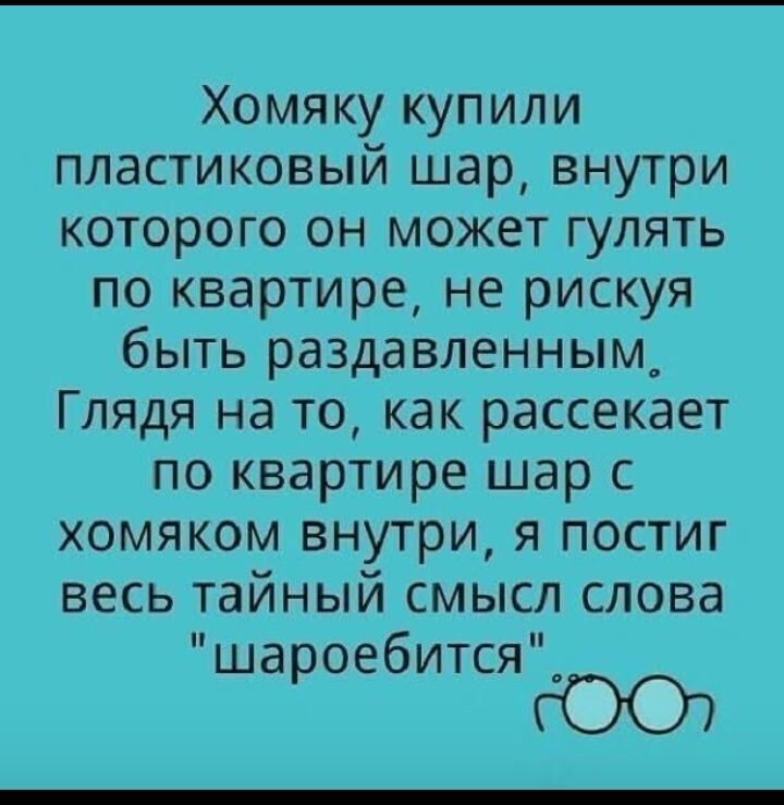 Хомяку купили пластиковый шар, внутри которого он может гулять по квартире, не рискуя быть раздавленным. Глядя на то, как рассекает по квартире шар с хомяком внутри, я постиг весь тайный смысл слова 'шароебиться'.