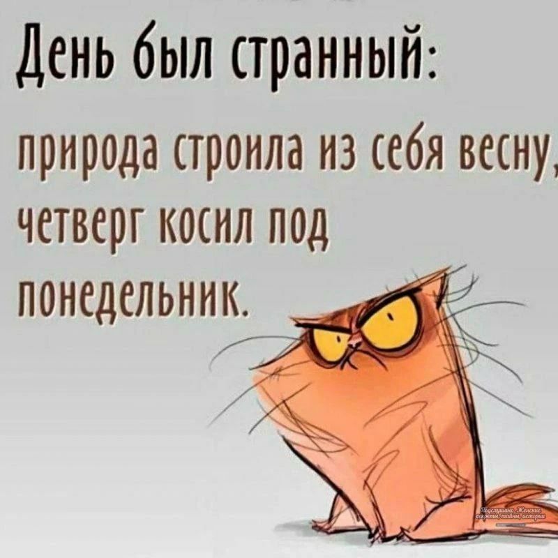 День был странный: природа строила из себя весну, четверг косил под понедельник.