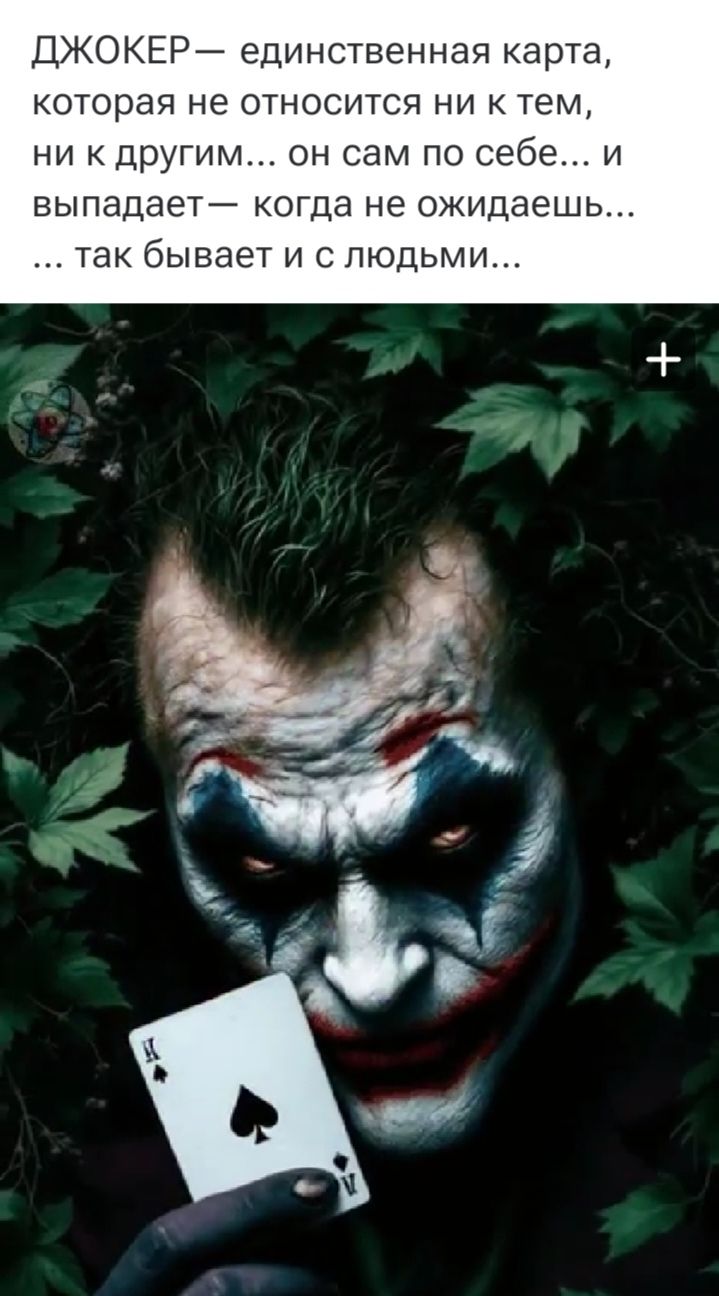 ДЖОКЕР — единственная карта, которая не относится ни к тем, ни к другим... он сам по себе... и выпадает — когда не ожидаешь... ... так бывает и с людьми...