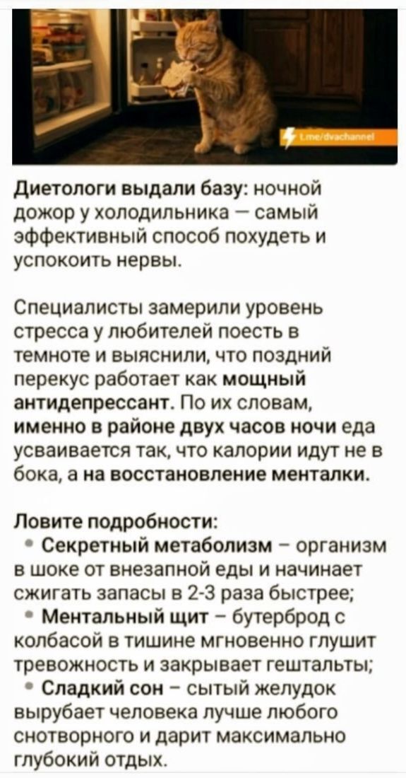 Диетологи выдали базу: ночной дожор у холодильника — самый эффективный способ похудеть и успокоить нервы. Специалисты замерили уровень стресса у любителей поесть в темноте и выяснили, что поздний перекус работает как мощный антидепрессант. Именно в два часа ночи еда усваивается так, что калории идут не в бок, а на восстановление менталки. 