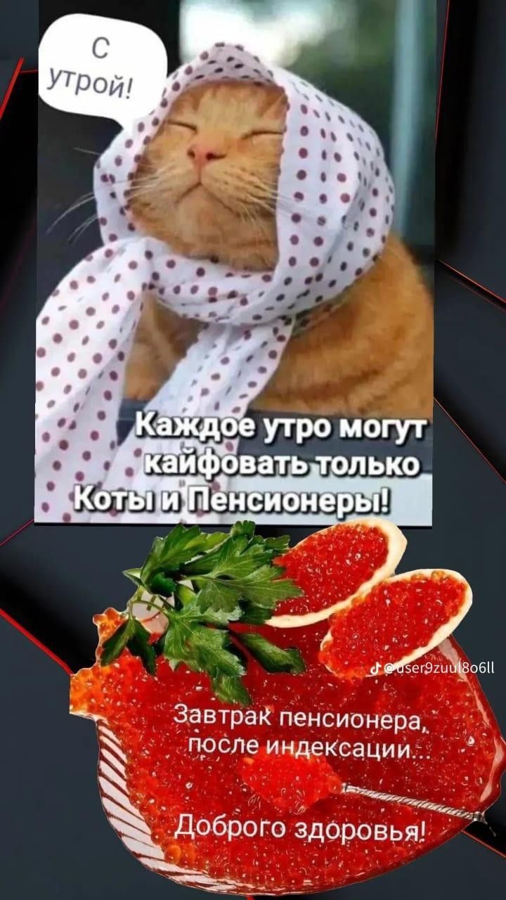 С утрой! Каждое утро могут кайфовать только Коты и Пенсионеры! Завтрак пенсионера, после индексации... Доброго здоровья!