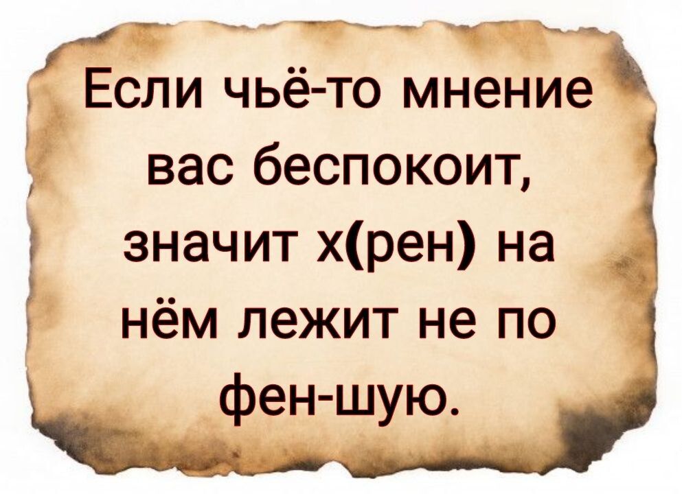 Если чьё-то мнение вас беспокоит, значит x(рен) на нём лежит не по фен-шую.