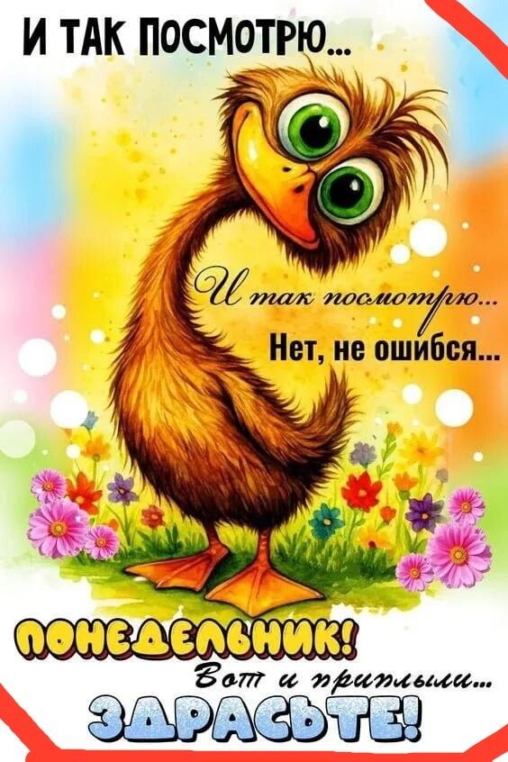 И так посмотрю... И так посмотрю... Нет, не ошибся... ПОНЕДЕЛЬНИК! Вот и правильно... ЗДРАВСТЕ!