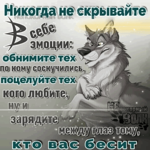Никогда не скрывайте в себе эмоции: обнимите тех, по кому соскучились, поцелуйте тех, кого любите, ну и зарядите между глаз тому, кто вас бесит