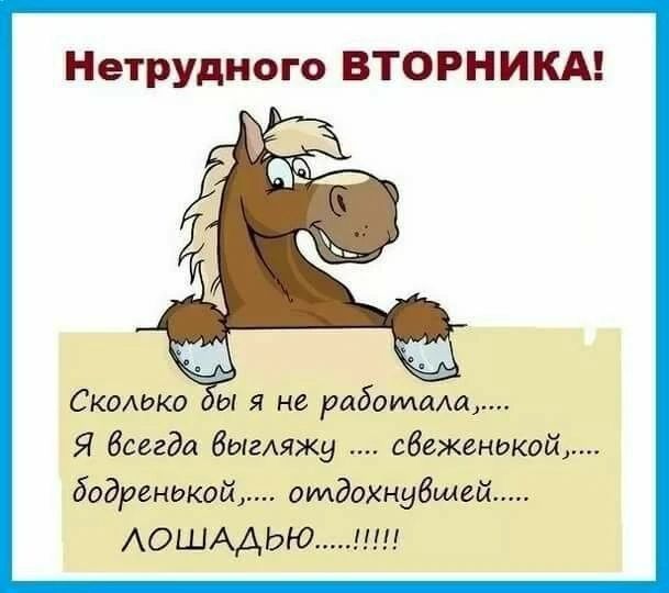 Нетрудного ВТОРНИКА!\nСколько бы я не работала,... Я всегда выгляжу .... свеженькой,.... бодренькой,.... отдохнувшей..... ЛОШАДЬЮ.....!!!!!