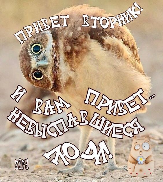 ПРИВЕТ ВТОРНИК! И ВАМ ПРИВЕТ... НЕВЫСПАВШИЕСЯ ЛЮДИ!