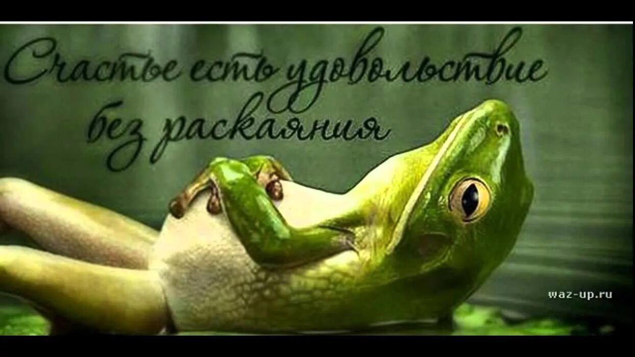 Счастье есть удовольствие без раскаяния