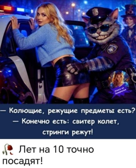 Колющие, режущие предметы есть?
Конечно есть: свитер колет, стринги режут!
Алиса из Зазеркалья
Лет на 10 точно посадят!