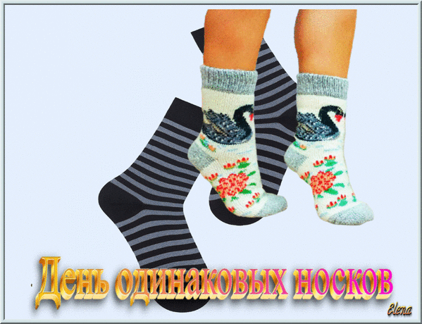 День Одинаковых Носков Elena