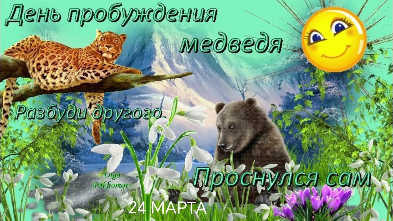 День пробуждения медведя Разбуди другого Проснулся сам Olga Pakhomov 24 МАРТА