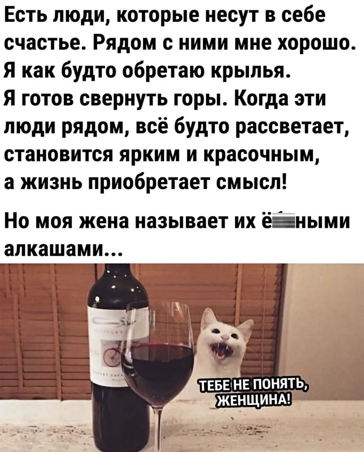 Есть люди, которые несут в себе счастье. Рядом с ними мне хорошо. Я как будто обретаю крылья. Я готов свернуть горы. Когда эти люди рядом, всё будто рассветает, становится ярким и красочным, а жизнь приобретает смысл! Но моя жена называет их ёбаными алкашами... ТЕБЕ НЕ ПОНЯТЬ, ЖЕНЩИНА!