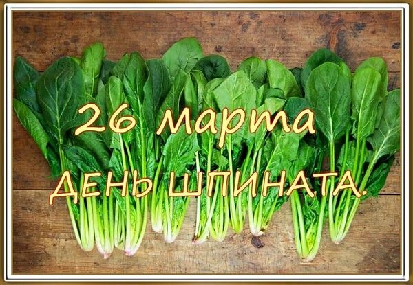 26 марта ДЕНЬ ШПИНАТА.
