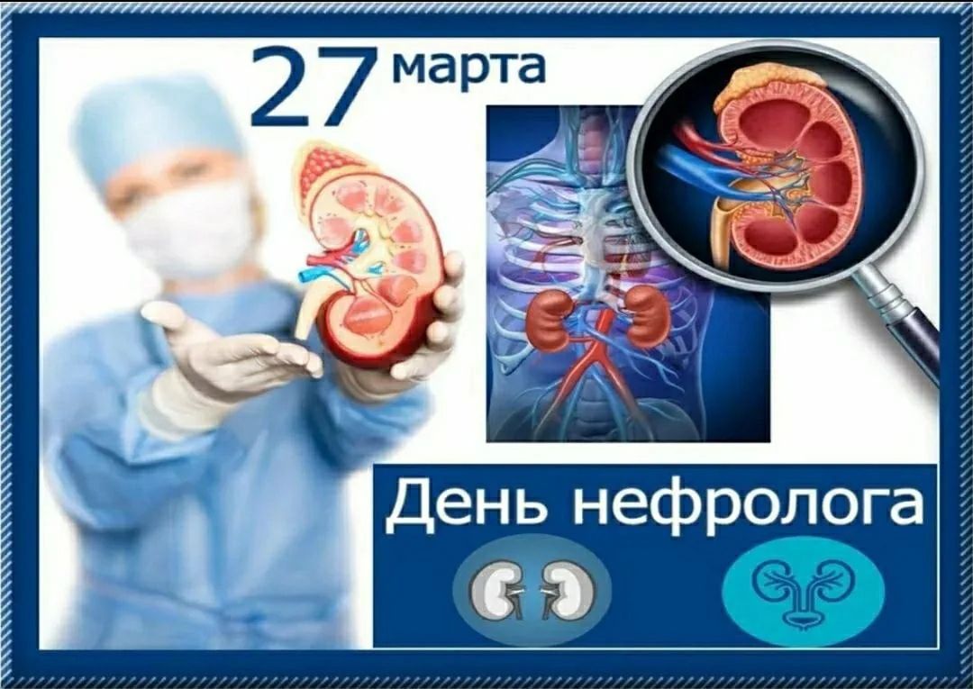 27 марта День нефролога