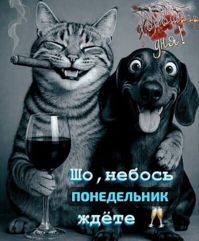 Хорошего дня! Шо, небось понедельник ждёте