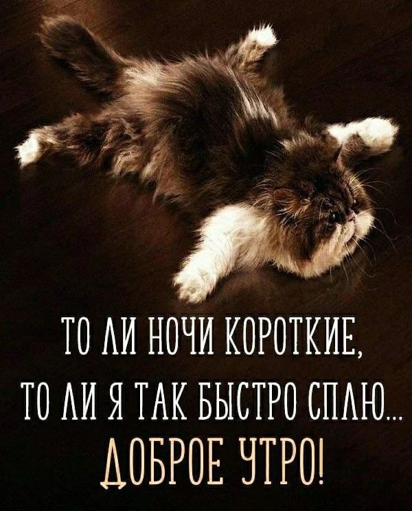 ТО ЛИ НОЧИ КОРОТКИЕ, ТО ЛИ Я ТАК БЫСТРО СПЛЮ... ДОБРОЕ УТРО!