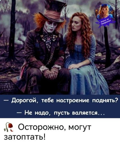 Алиса из Зазеркалья — Дорогой, тебе настроение поднять? — Не надо, пусть валяется... Осторожно, могут затоптать!