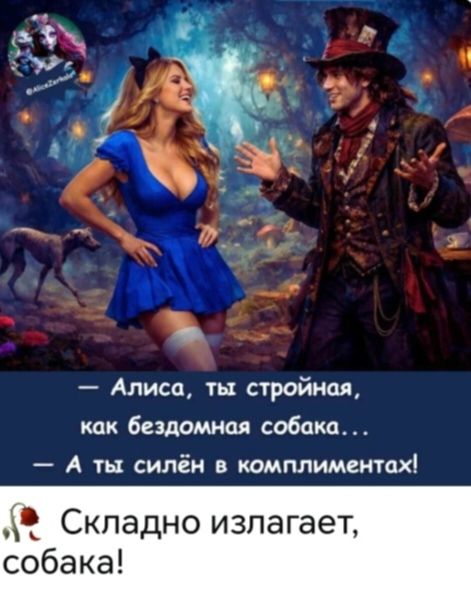 Алиса, ты стройная, как бездомная собака... А ты силён в комплиментах! Складно излагает, собака!