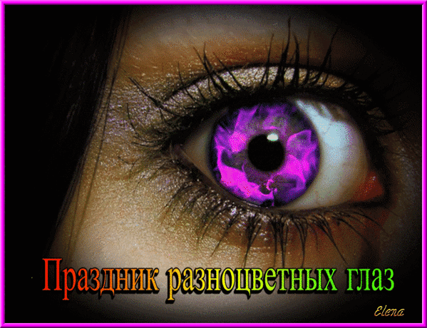 Праздник разноцветных глаз Elena