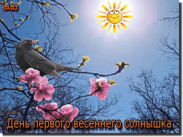 31.03 День первого весеннего солнышка