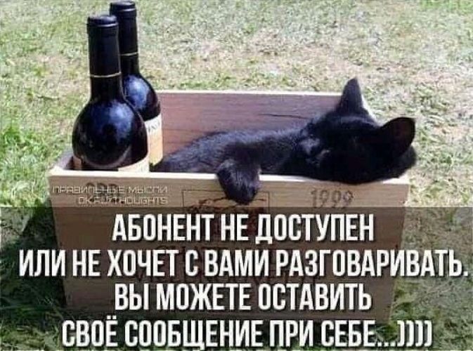 ПРАВИЛЬНЫЕ МЫСЛИ OKAYTHOUGHTS 1999 АБОНЕНТ НЕ ДОСТУПЕН ИЛИ НЕ ХОЧЕТ С ВАМИ РАЗГОВАРИВАТЬ. ВЫ МОЖЕТЕ ОСТАВИТЬ СВОЁ СООБЩЕНИЕ ПРИ СЕБЕ...))))