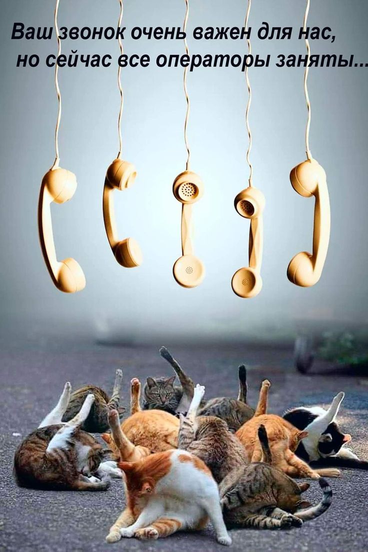 Ваш звонок очень важен для нас, но сейчас все операторы заняты...