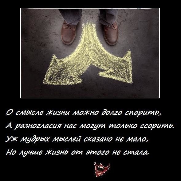 О смысле жизни можно долго спорить, А разногласия нас могут только ссорить. Уж мудрых мыслей сказано не мало, Но лучше жизнь от этого не стала.