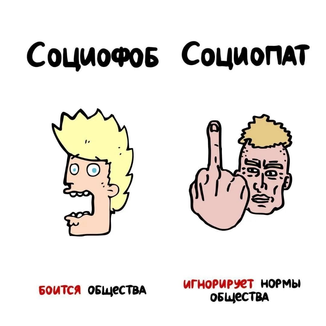 Социофоб Социопат Боится общества Игнорирует нормы общества