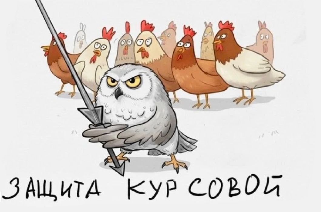 ЗАЩИТА КУР СОВОЙ