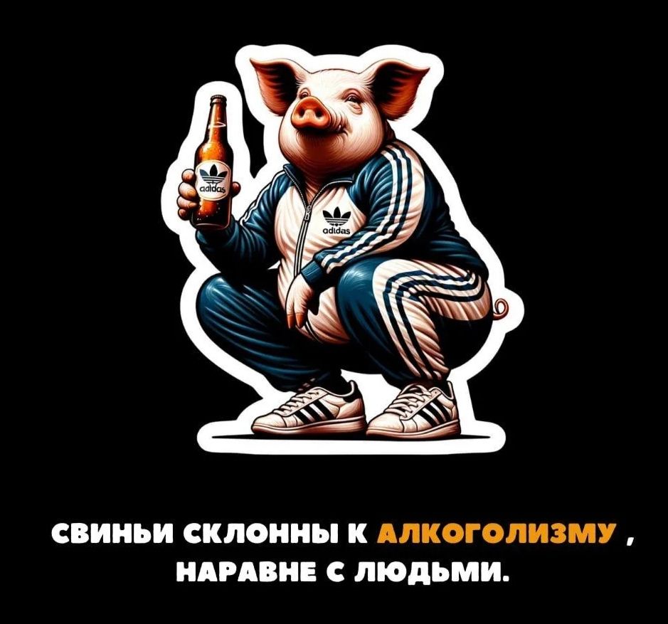 СВИНЬИ СКЛОННЫ К АЛКОГОЛИЗМУ, НАРАВНЕ С ЛЮДЬМИ.