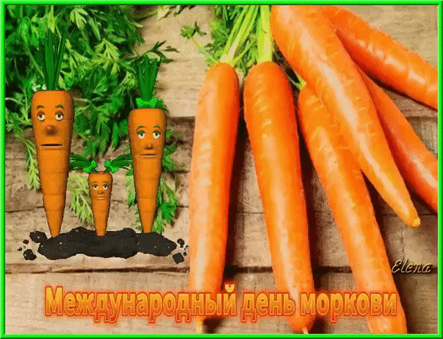 Международный день моркови