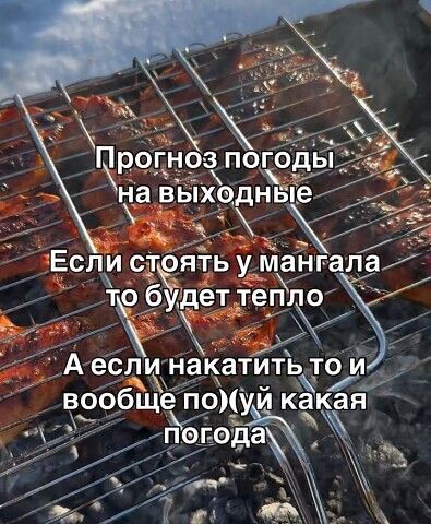 Прогноз погоды на выходные. Если стоять у мангала, то будет тепло. А если накатить, то и вообще похуй какая погода.