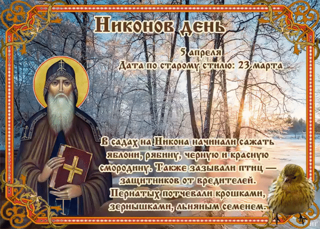 Никонов день 5 апреля Дата по старому стилю: 23 марта В садах на Никона начинали сажать яблони, рябину, черную и красную смородину. Также зазывали птиц — защитников от вредителей. Пернатых потчевали крошками, зернышками, льняным семенем.